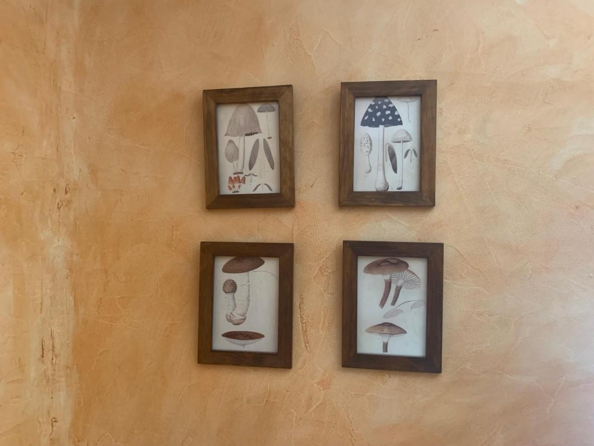 דירות San Ildefonso Casa Del Plantel מראה חיצוני תמונה